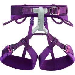 Petzl Luna Women's Harness - Violet
