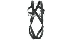 Petzl 8003 Full Body Adult Harness