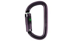 Petzl Am'D Ball Lock Carabiner -Petzl Adventure Sales Store opplanet petzl am d ball lock carabiner m34bl