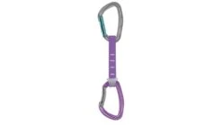 Petzl Djinn Axess Quickdraw Carabiner