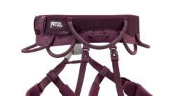 Petzl LUNA Womens Harness -Petzl Adventure Sales Store opplanet petzl luna womens harness violet large c035ba03 av 4